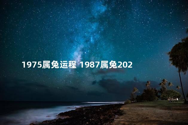 1975属兔运程 1987属兔2020年运势及运程